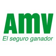 AMV Seguros